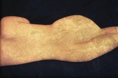 "Reclining Nude" Original Artwork, 24kt Gold on Museum Glass