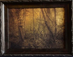 "Virginia Creeper, Swamp, Plum Creek" 24kt Gold on Museum Glass