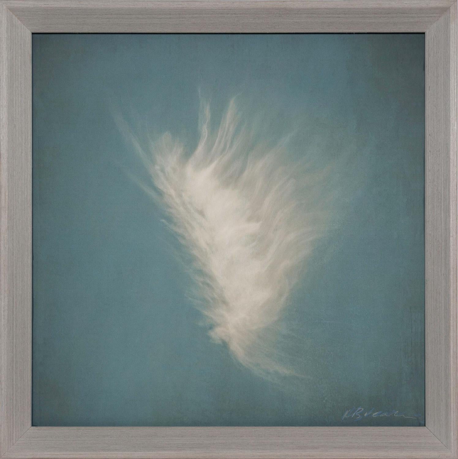Landscape Photograph de Kate Breakey - A Doce Nubes, Suave, Lentamente