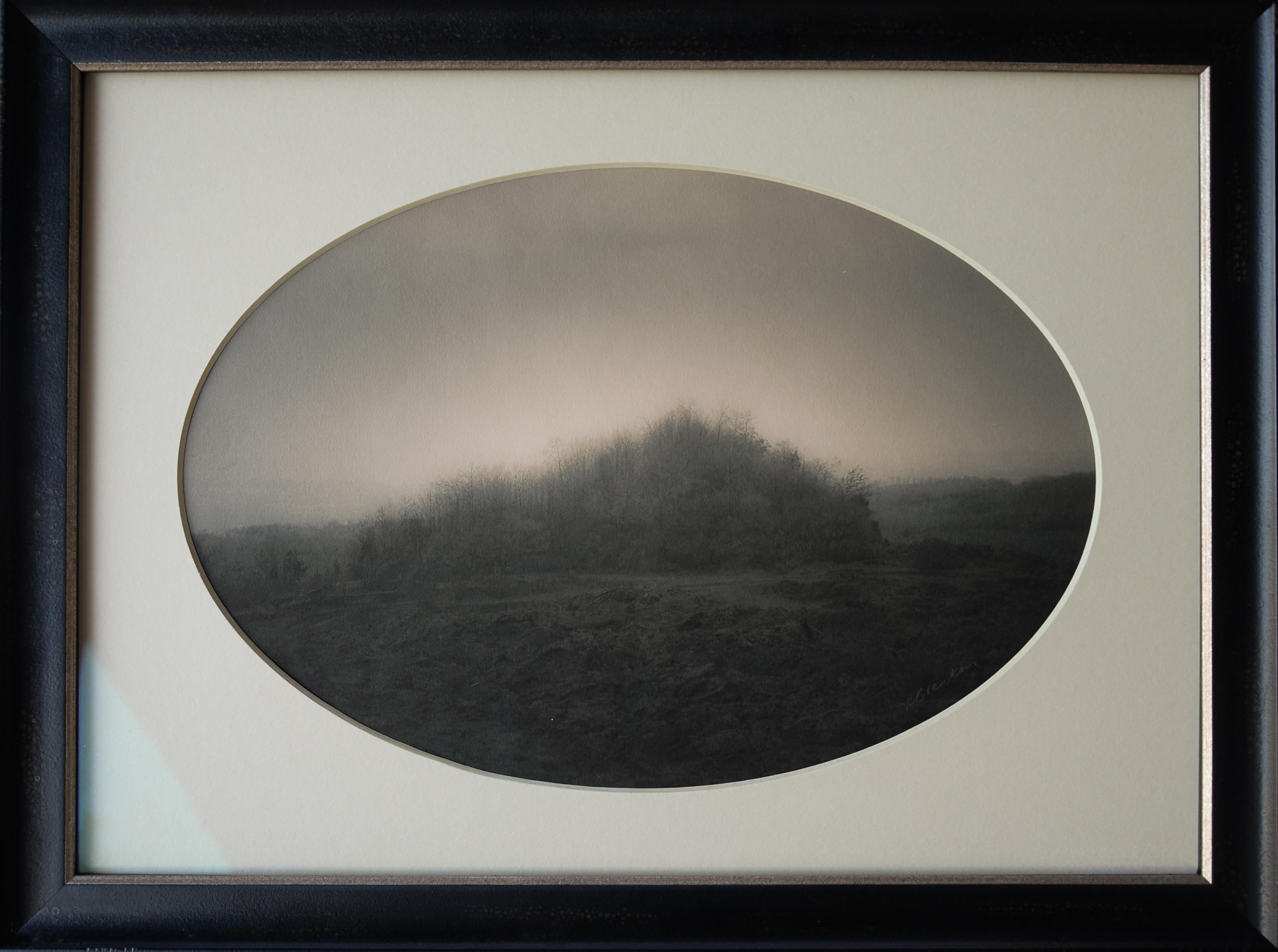 Kate Breakey Landscape Photograph - Copse, Mt. Etna, Sicily