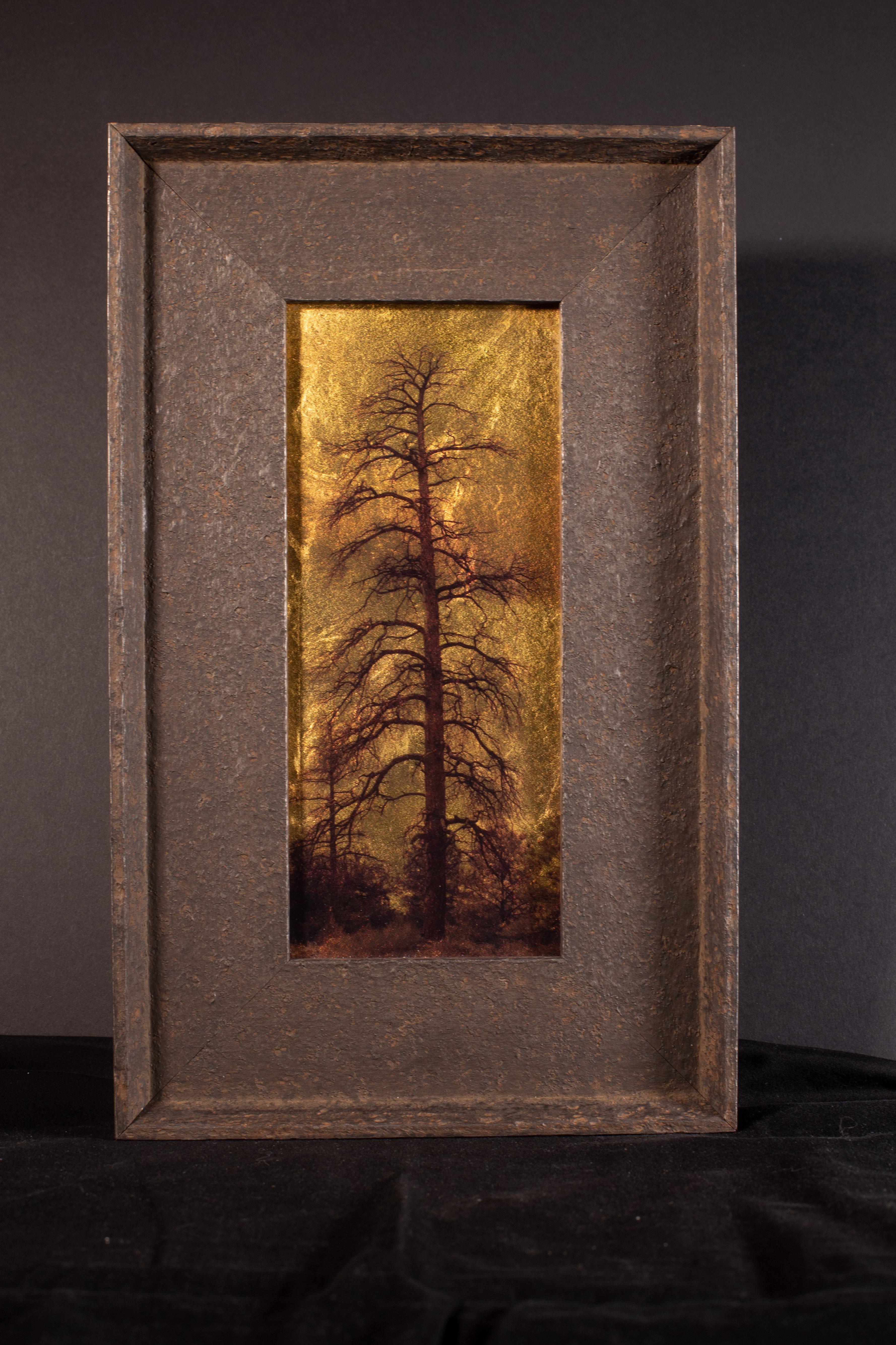 Kate Breakey Color Photograph - Dead Pine, Low Show, White Mountains, Arizona