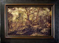 Eucalyptus Tree, Fallen Boughs, Kangaroo Island, South Australia