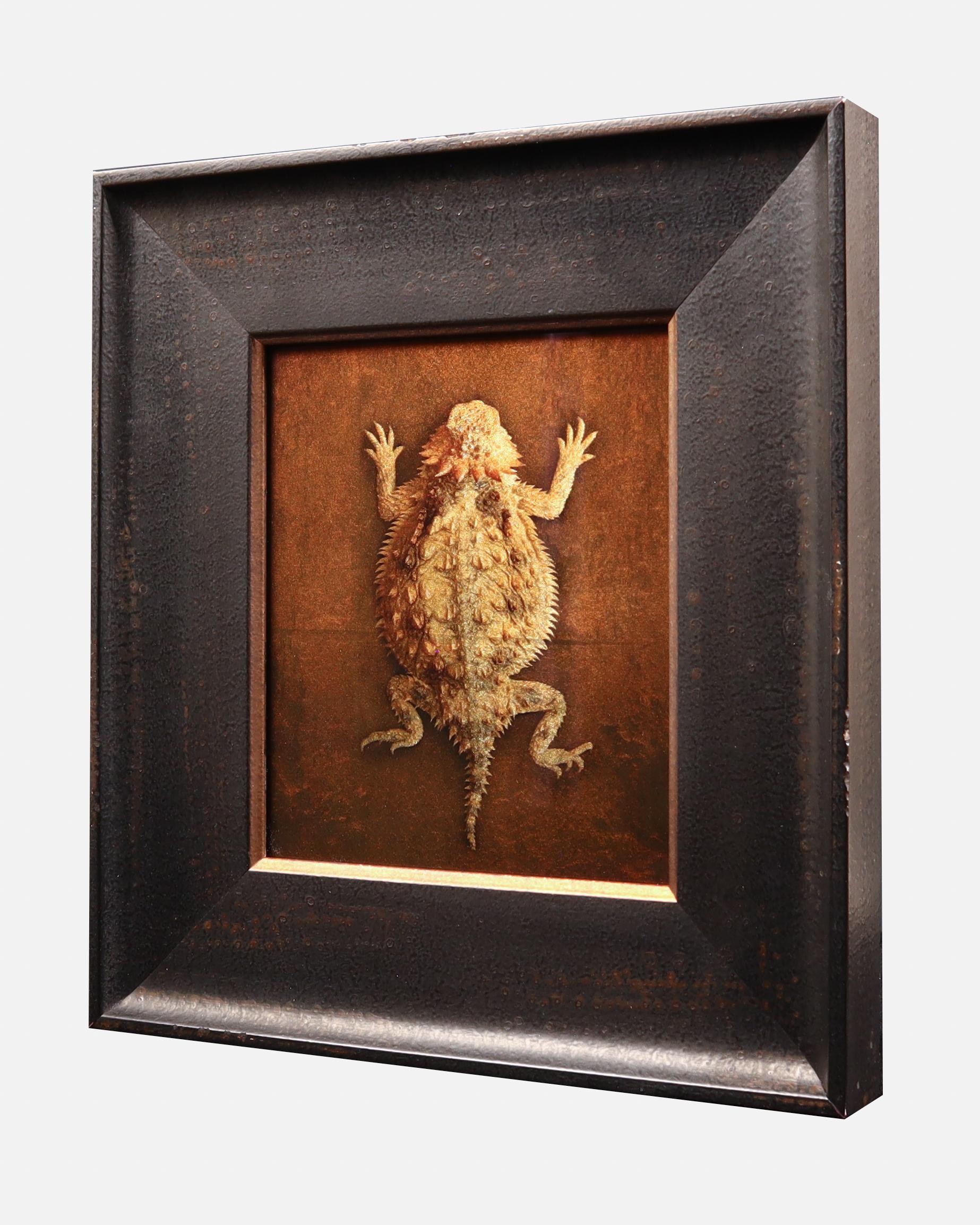 Horny Toad Lizard - Print by Kate Breakey