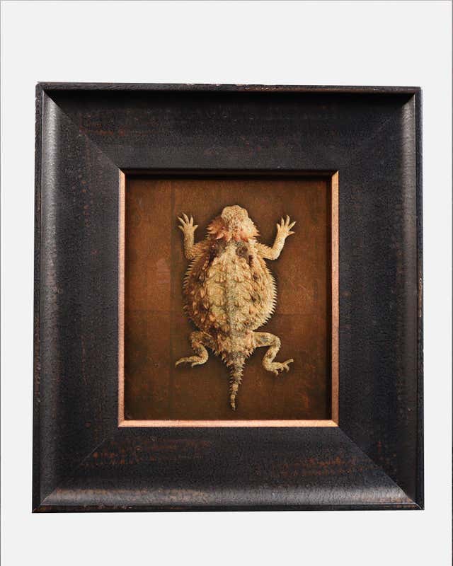 David White - Gold Leaf Rabbit at 1stDibs | dave white rabbit, dave ...