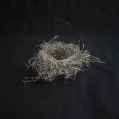 Nest IV