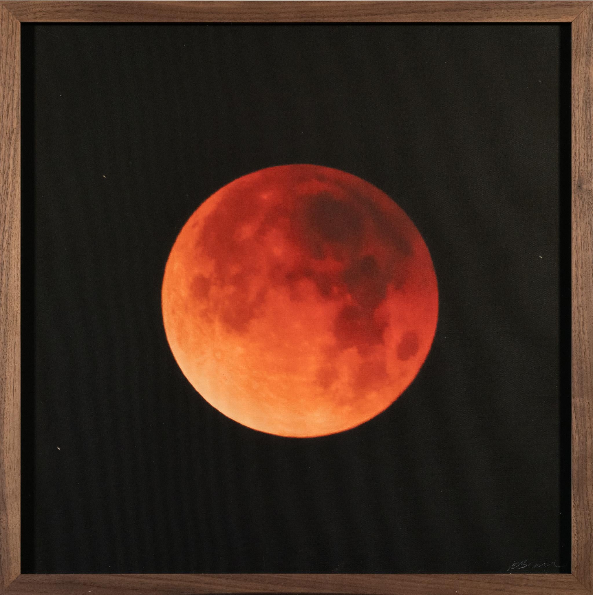 Kate Breakey Black and White Photograph – Neun Lunar Eclipses (F)