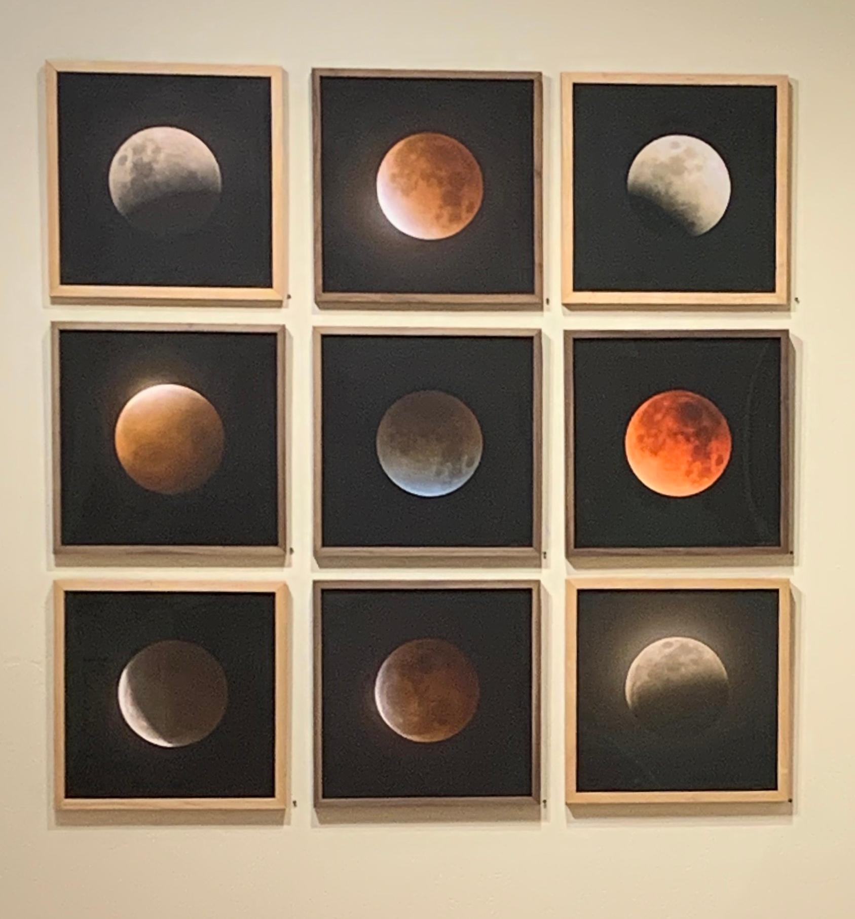 Neun Lunar Eclipses (I) (Zeitgenössisch), Mixed Media Art, von Kate Breakey