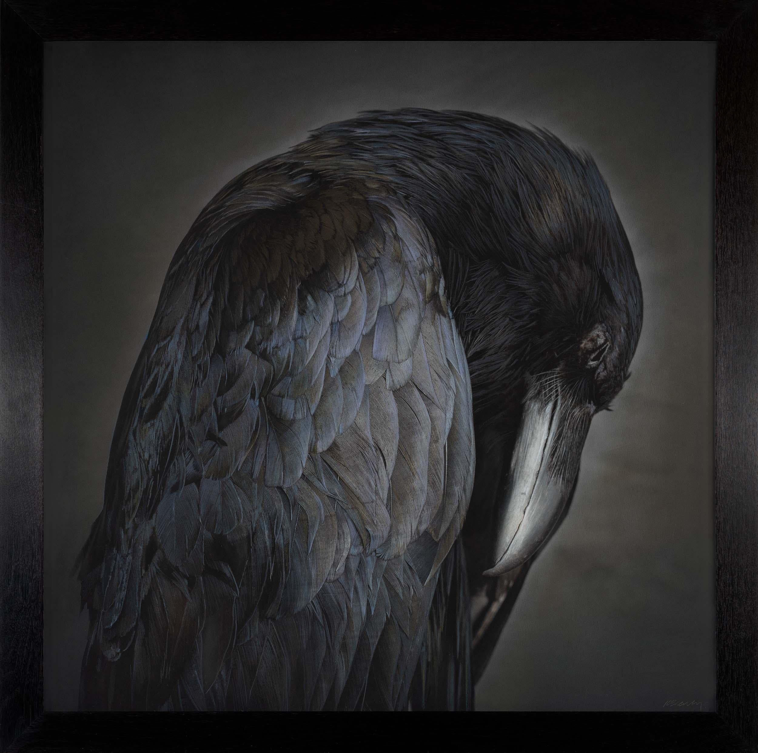 Kate Breakey Black and White Photograph - Portrait of a Raven