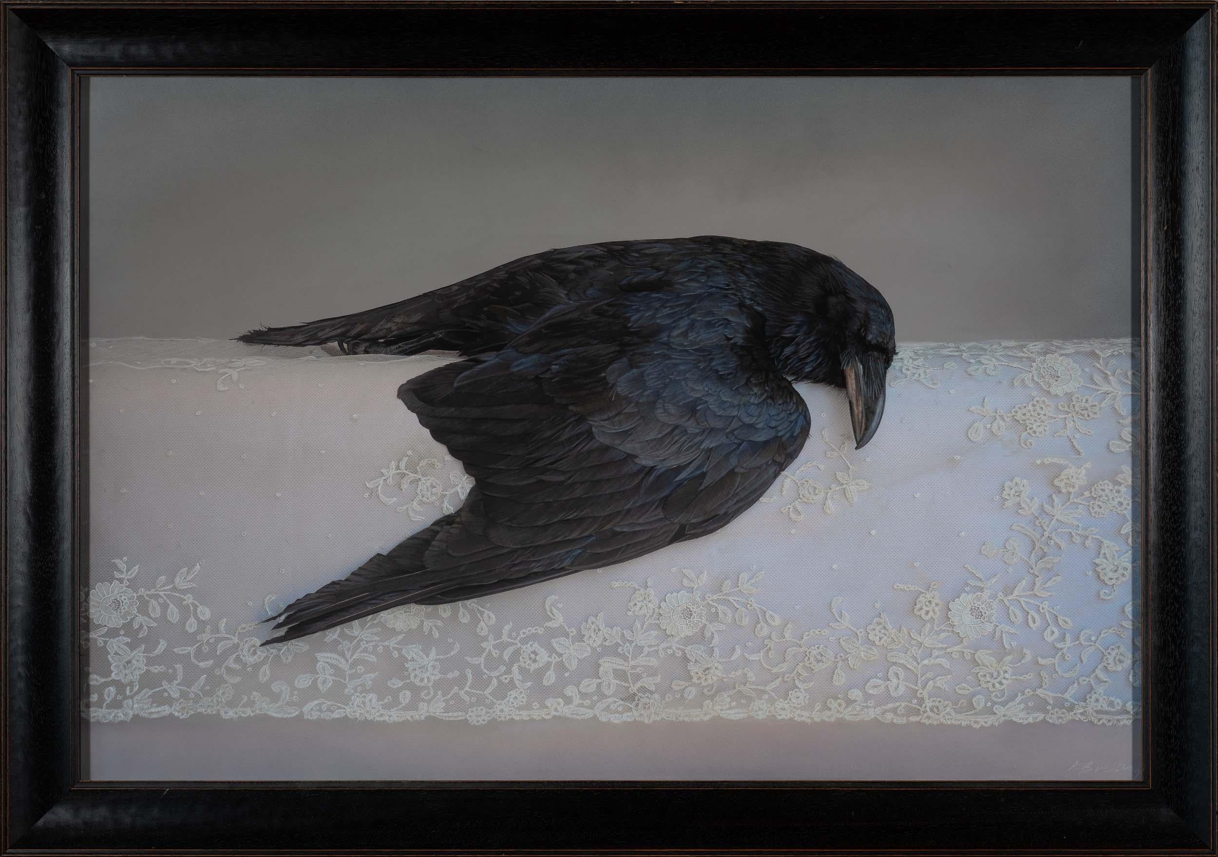 Kate Breakey Black and White Photograph - Raven on Lace