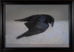 Raven on Lace