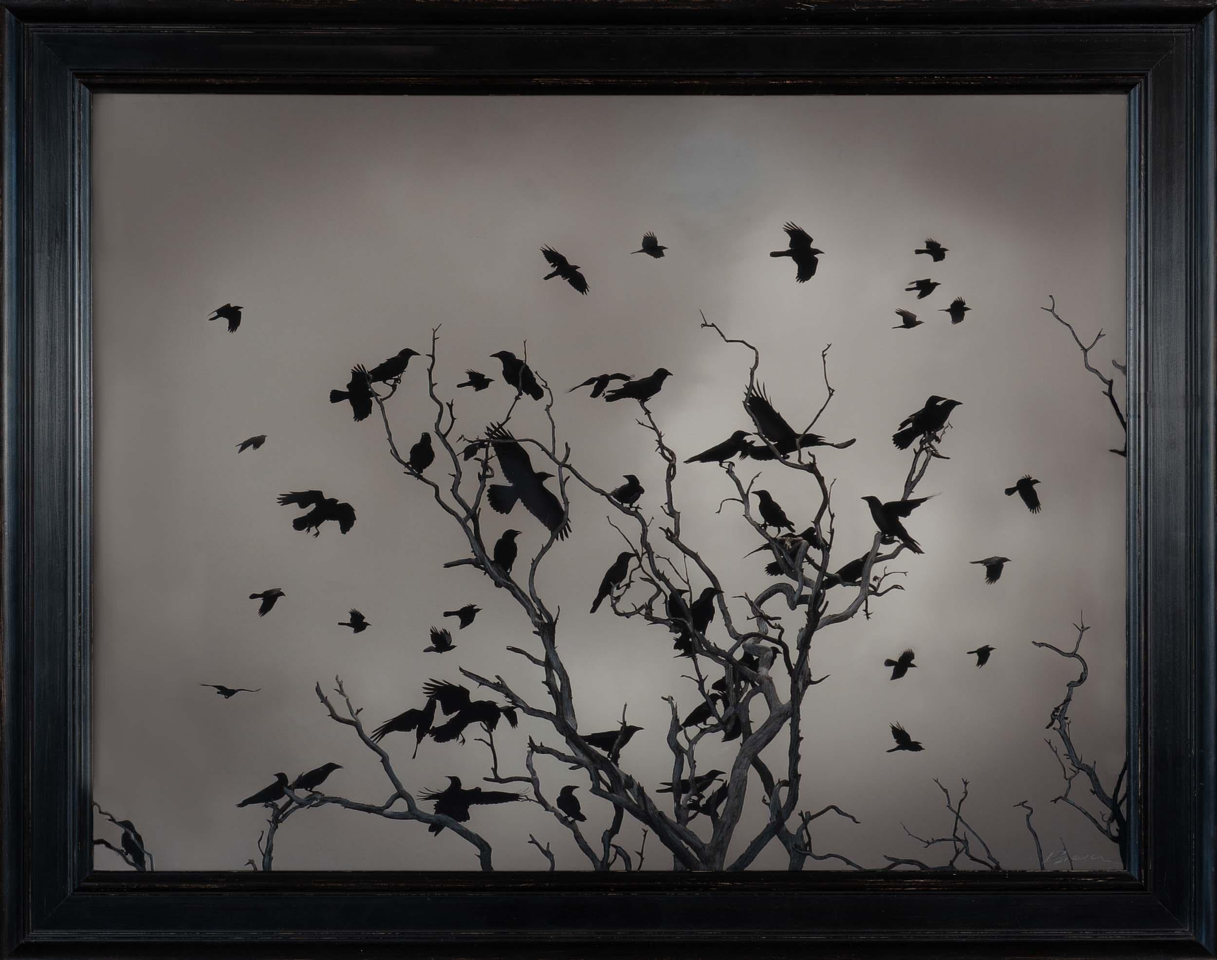 Kate Breakey Black and White Photograph – Ravens, Kellidie Bay, SüdAustralien