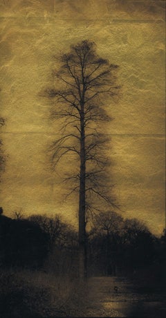 Árbol único (junto al lago) Kew Gardens