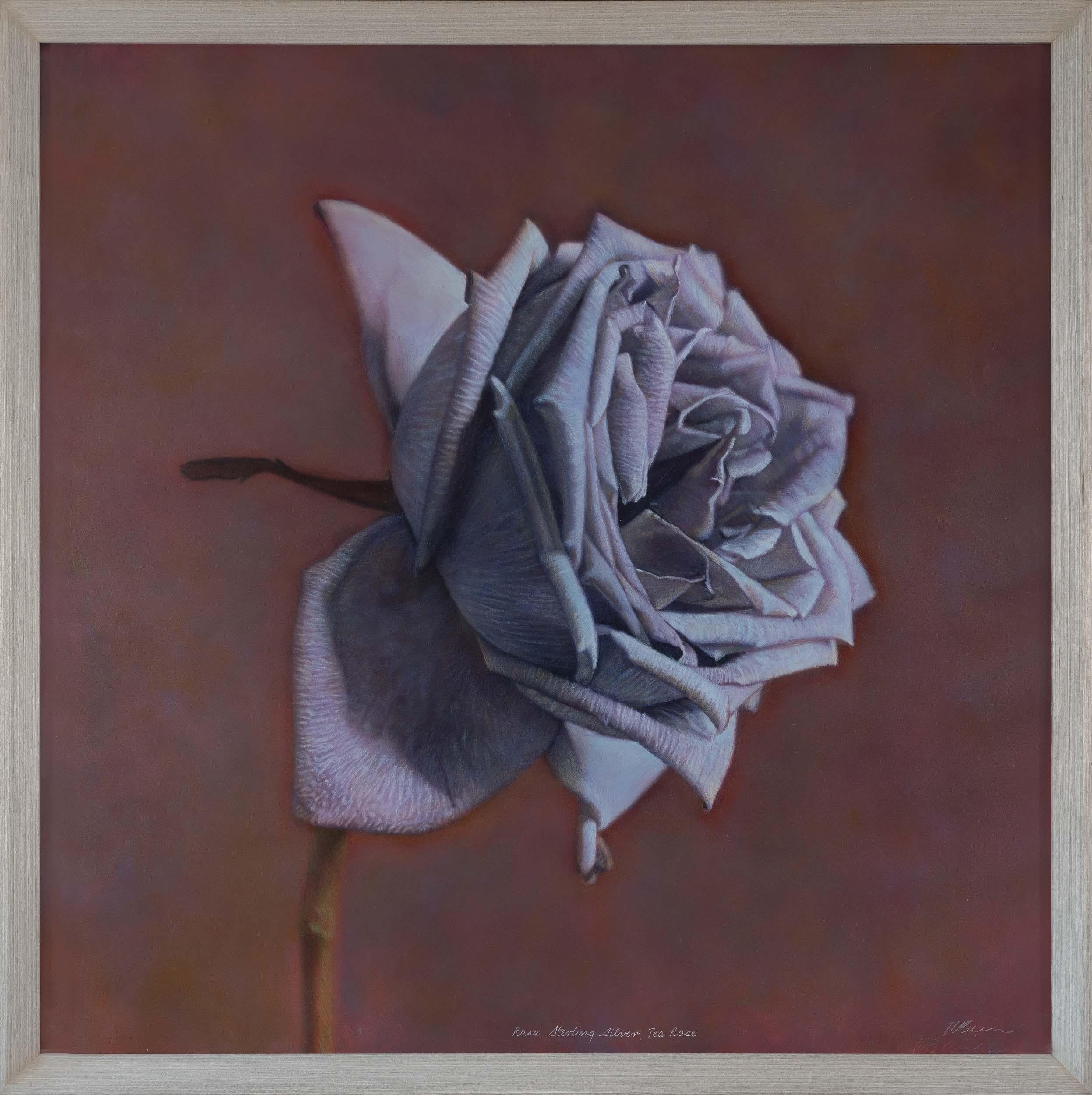 Rosa de plata de ley