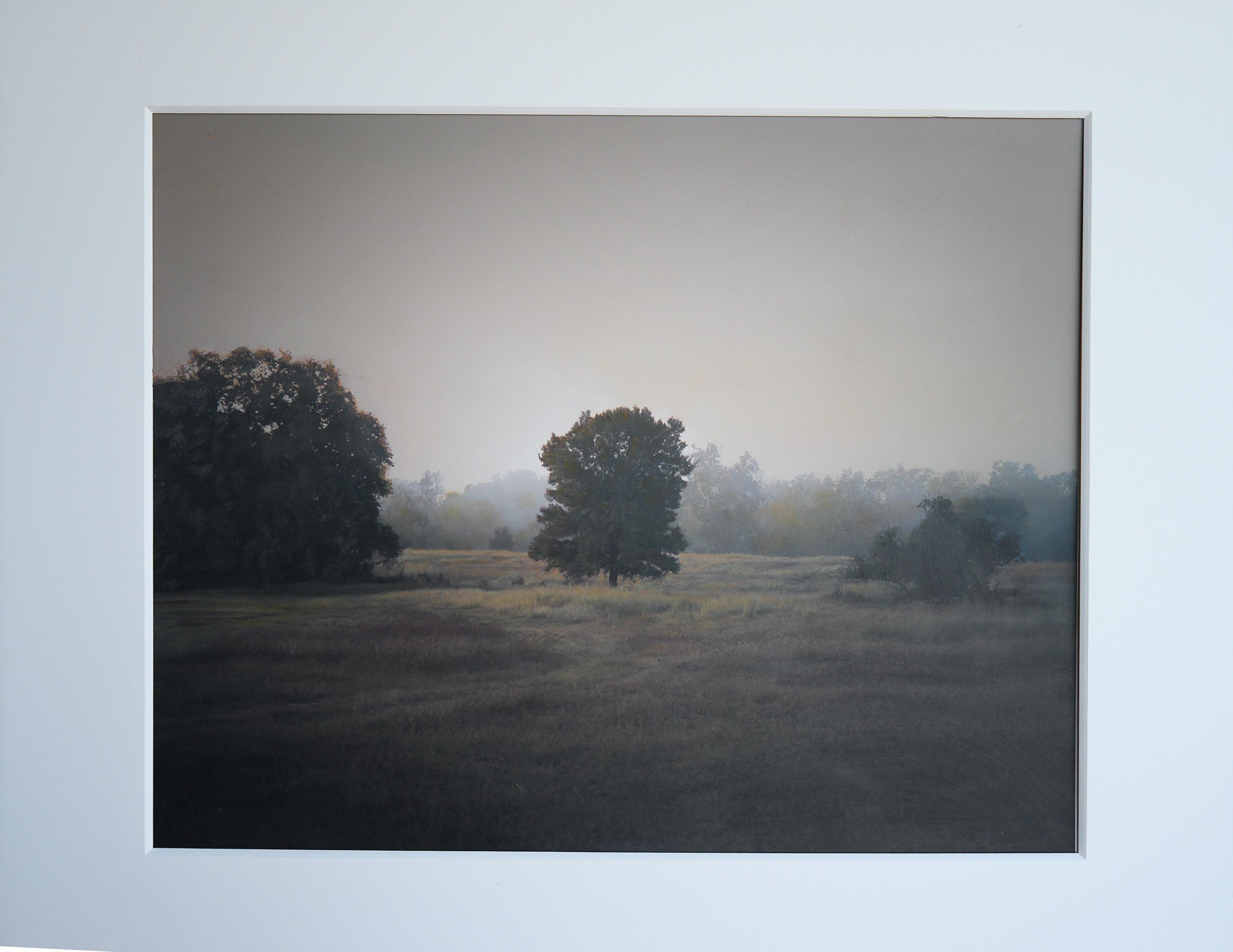 Kate Breakey Landscape Photograph - Tree in the Mist, Plum Creek, Tx