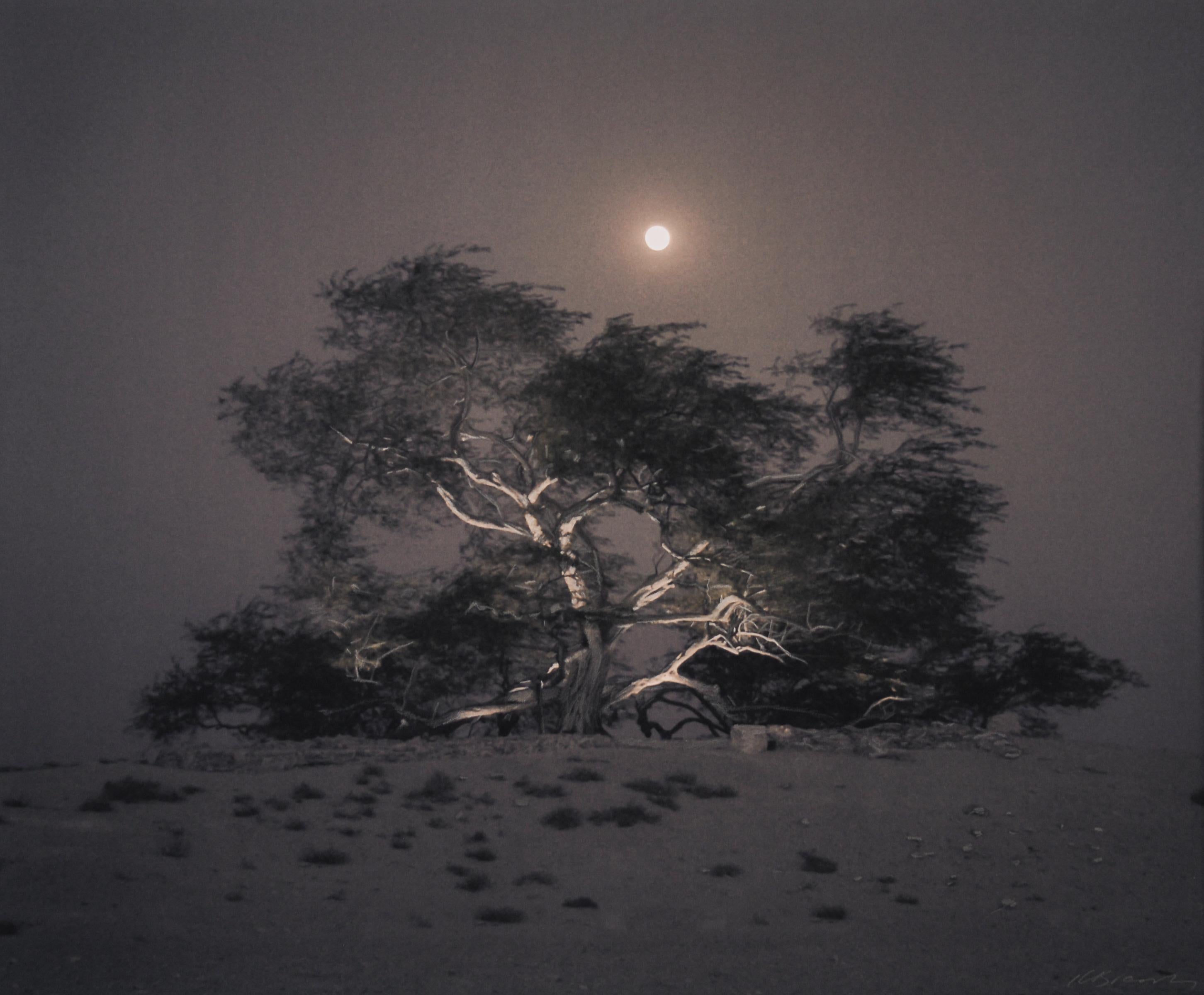 Kate Breakey Landscape Photograph - Tree of Life, Mesquite, Full Moon Rising, Bahrain