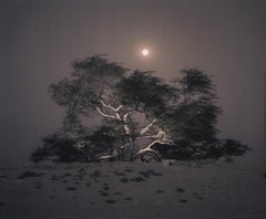 Tree of Life, Mesquite, Full Moon Rising, Bahrain