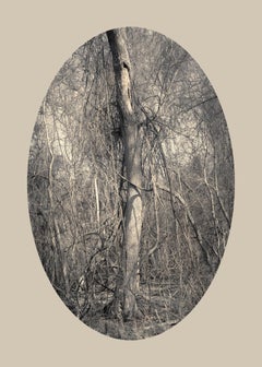 Tree with Vines, Plum Creek, Texas