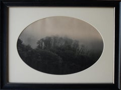 Alberi nella nebbia, Bennablio, Italo