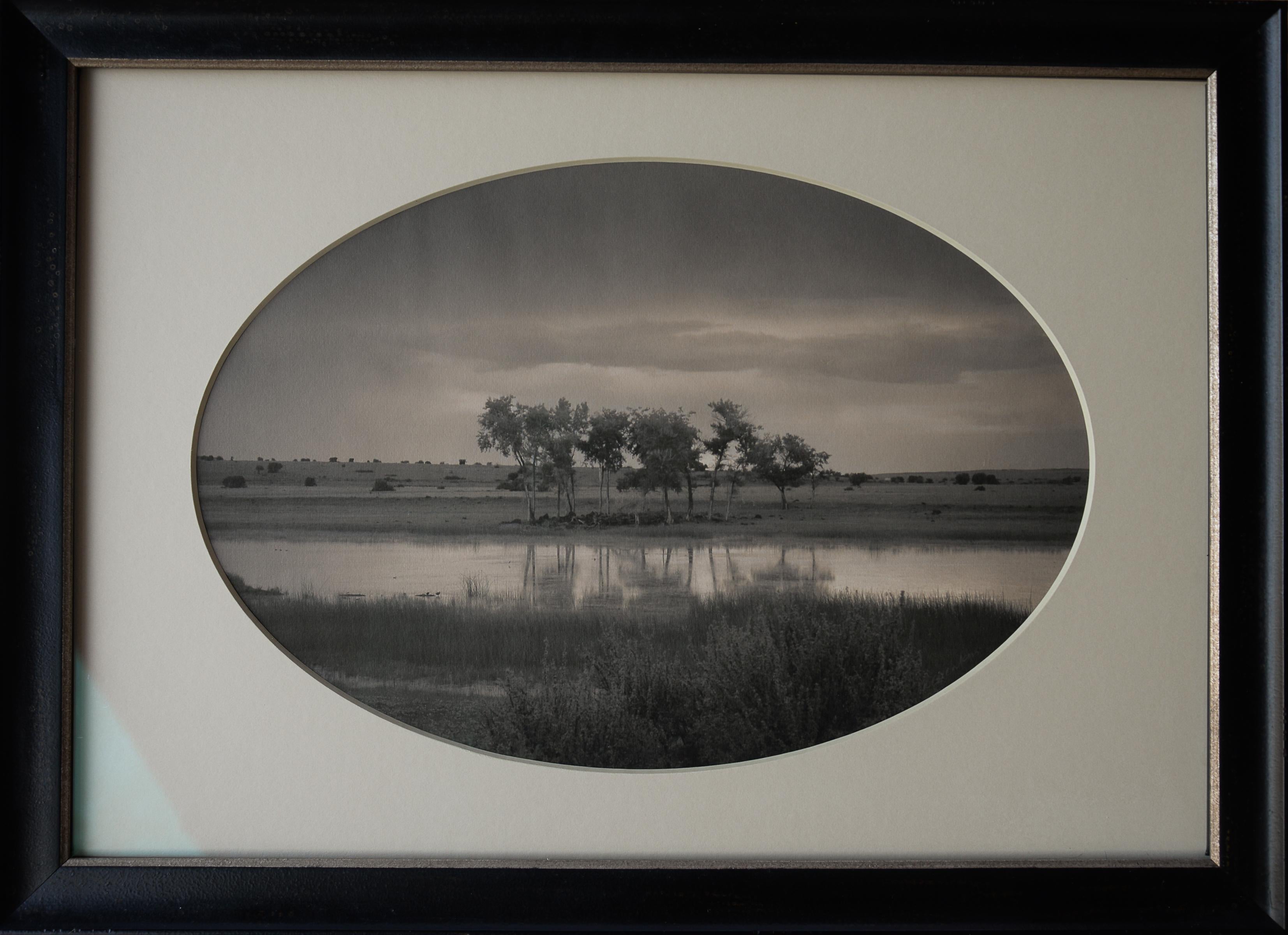 Kate Breakey Landscape Photograph - Trees, Pond, New Mexico