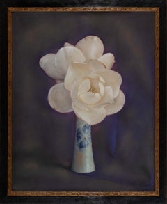 Deux Magnolia