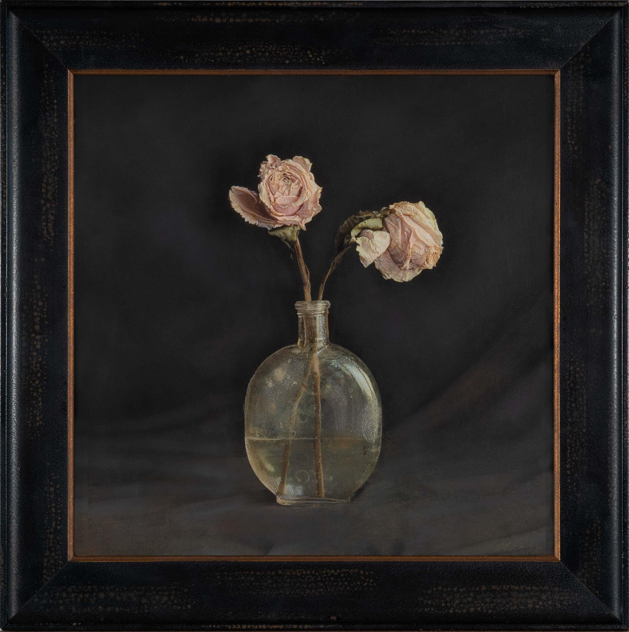 Kate Breakey Still-Life Photograph - Two Pale Roses