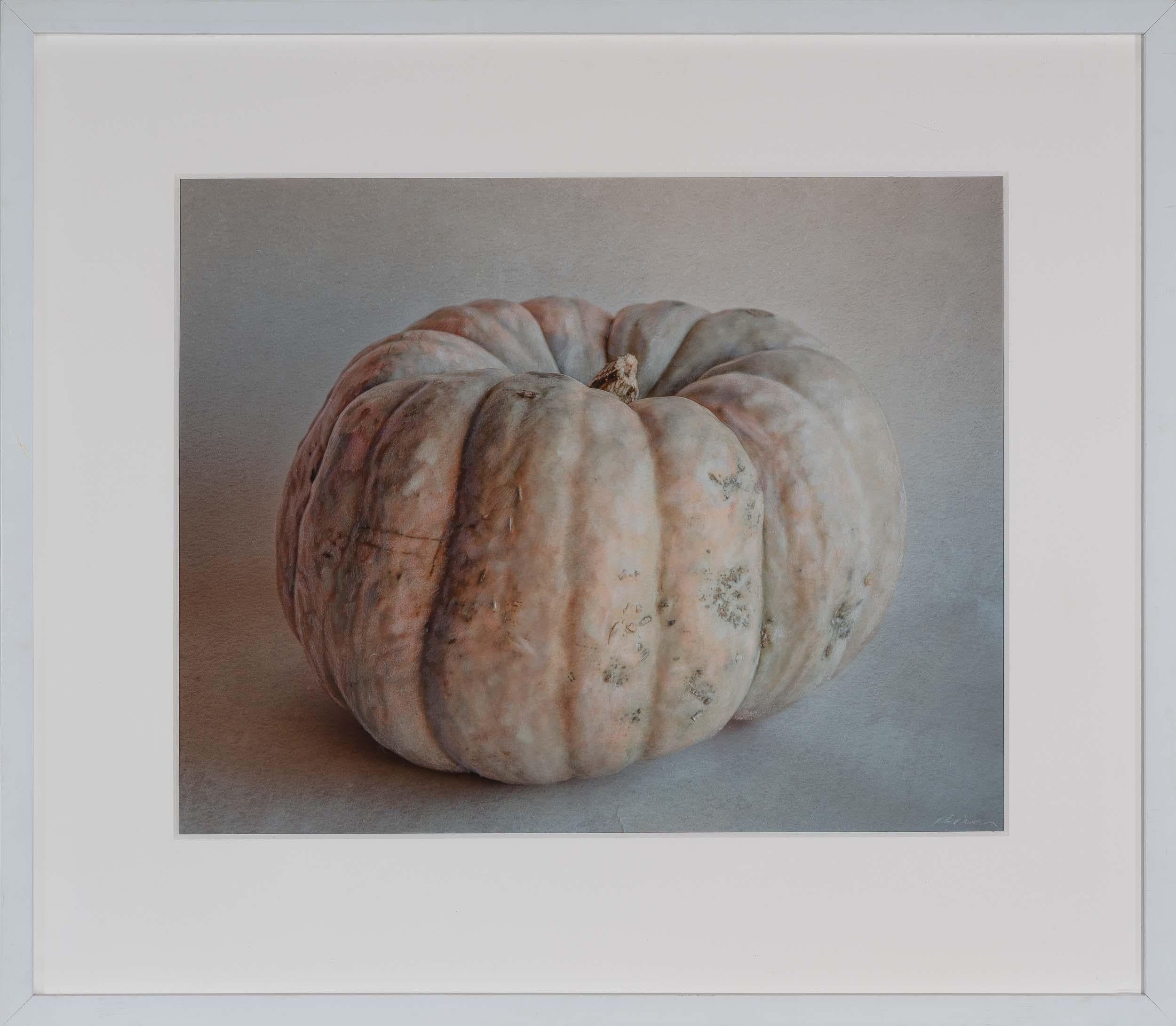 Kate Breakey Black and White Photograph - White Pumpkin