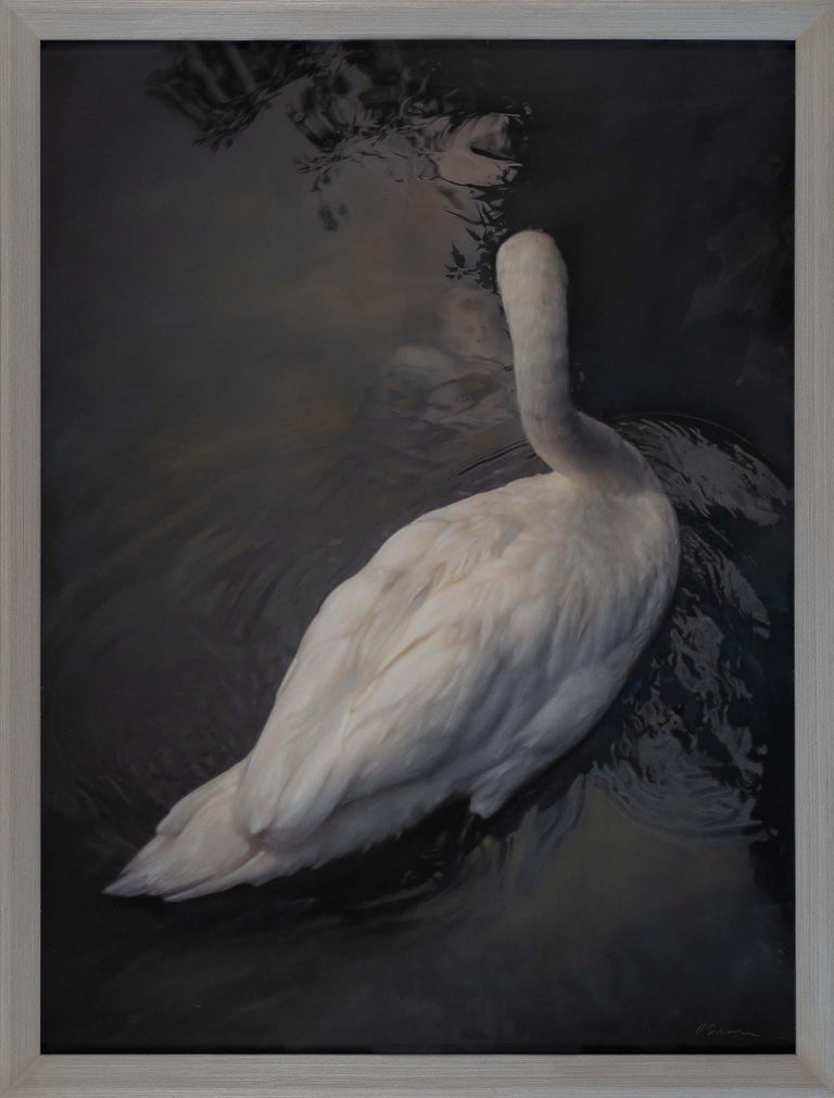 Kate Breakey White Swan For Sale at 1stDibs