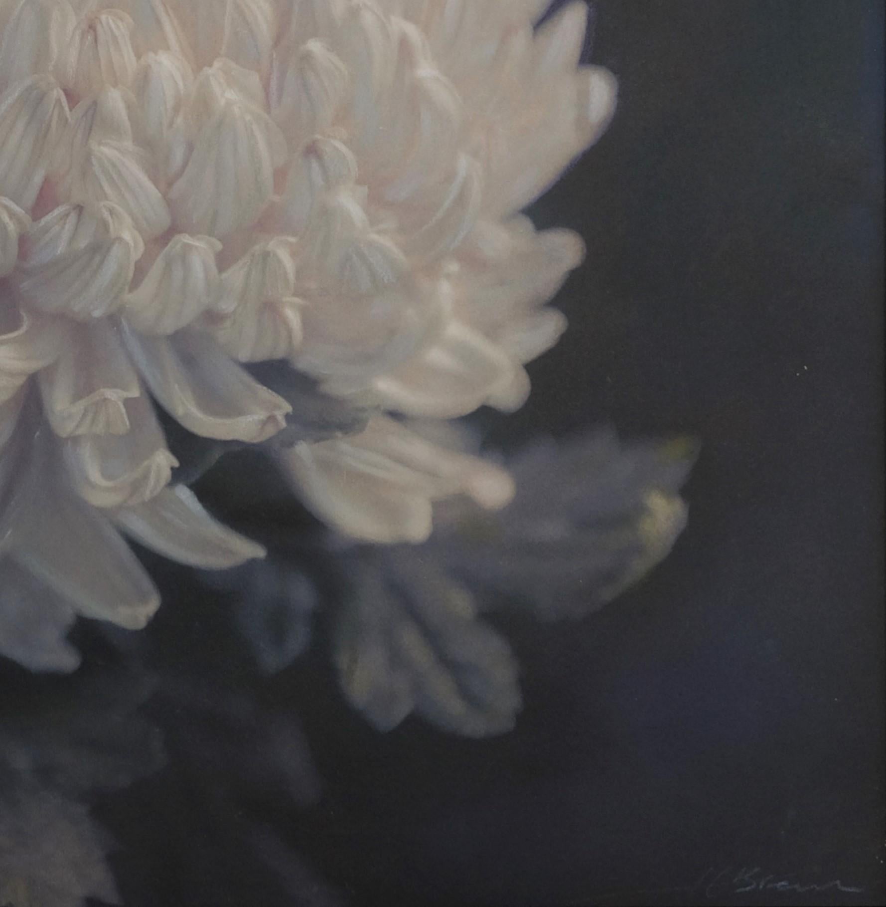 « chrysanthème II n°4/10 » (2021) par Kate Breakey, impression pigmentaire d'art en vente 1