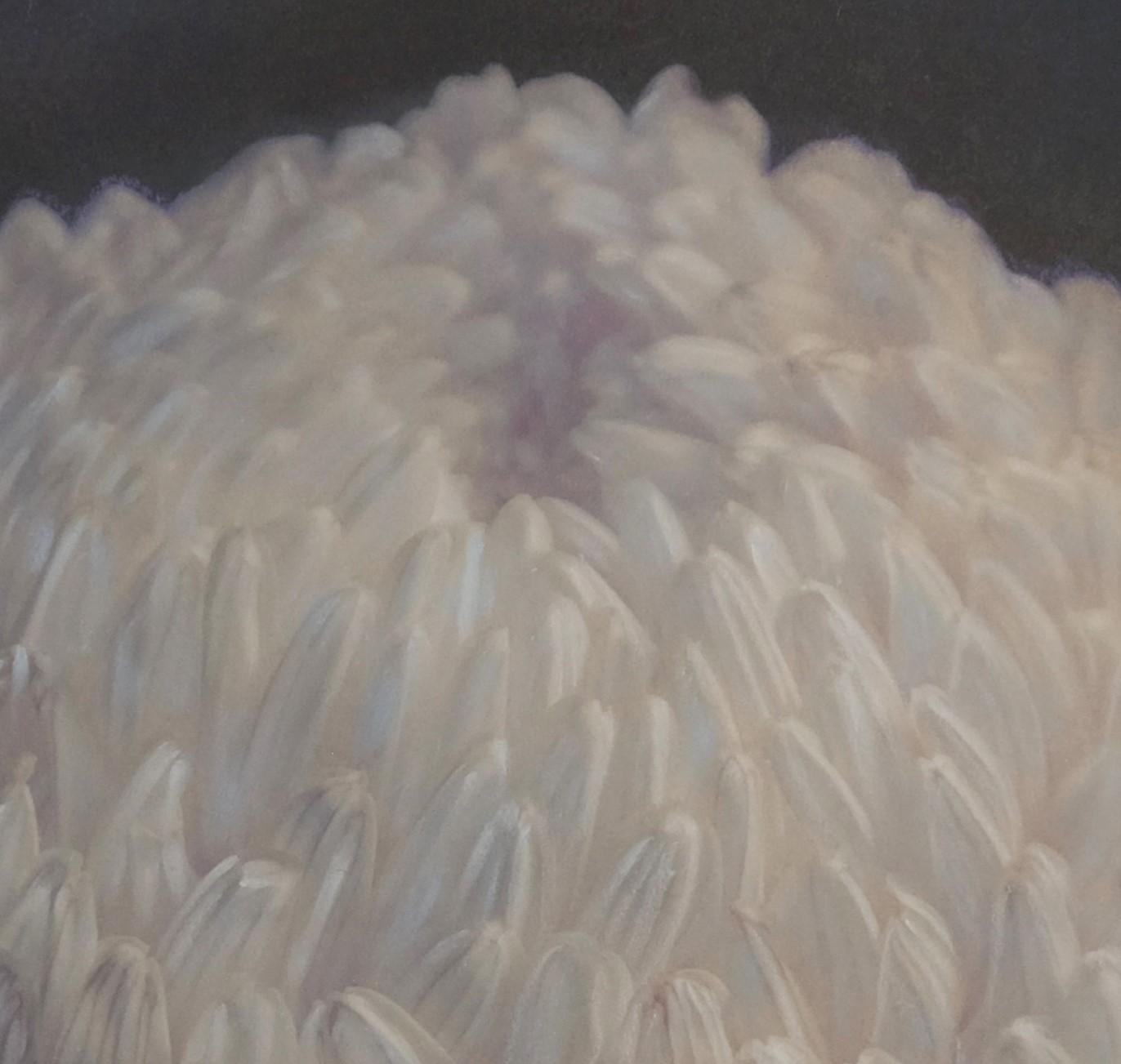 « chrysanthème II n°4/10 » (2021) par Kate Breakey, impression pigmentaire d'art en vente 2