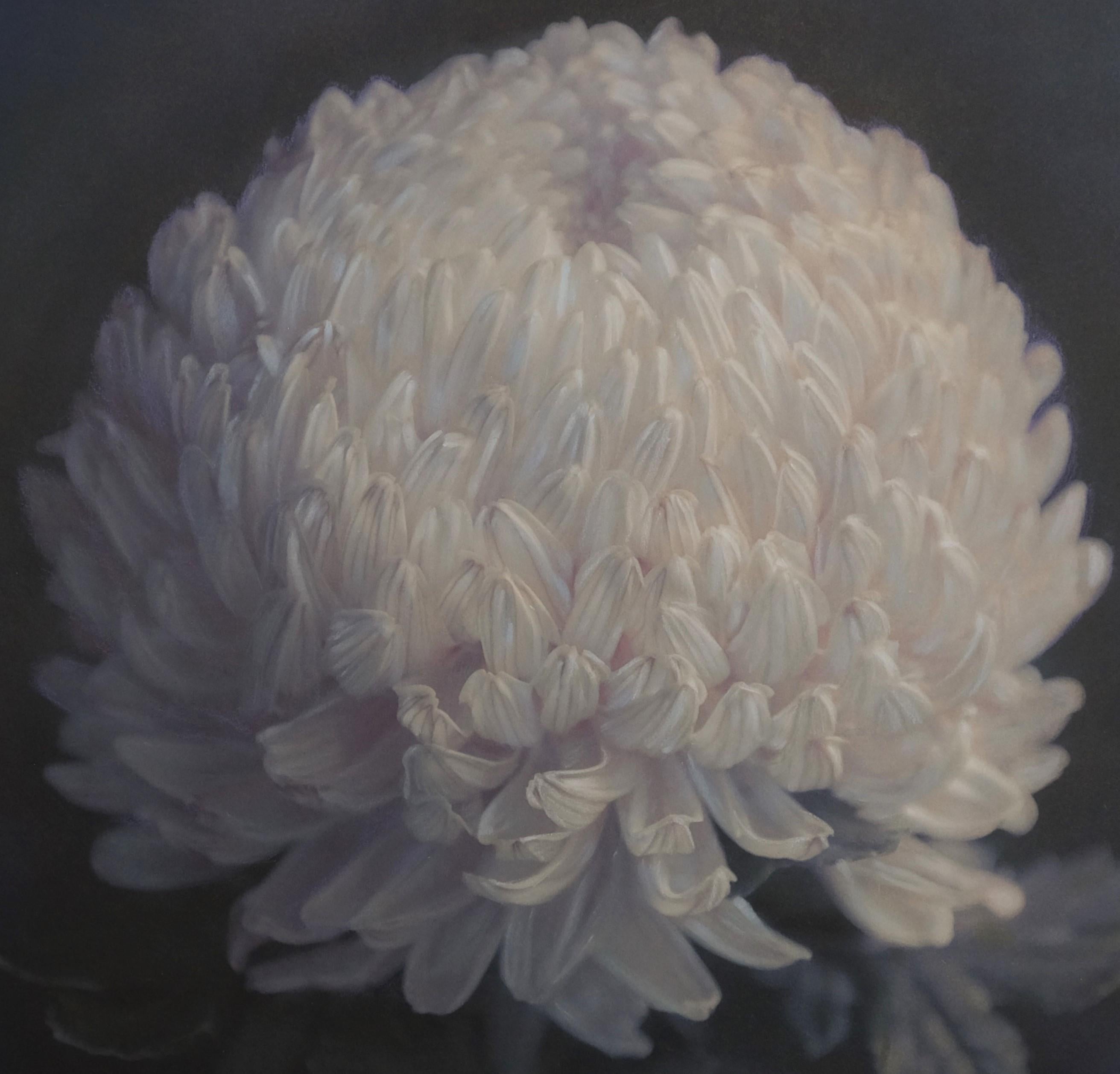 « chrysanthème II n°4/10 » (2021) par Kate Breakey, impression pigmentaire d'art en vente 3