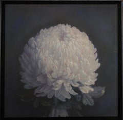 "Chrysanthemum II #4/10" (2021) By Kate Breakey, Archival Pigment Print