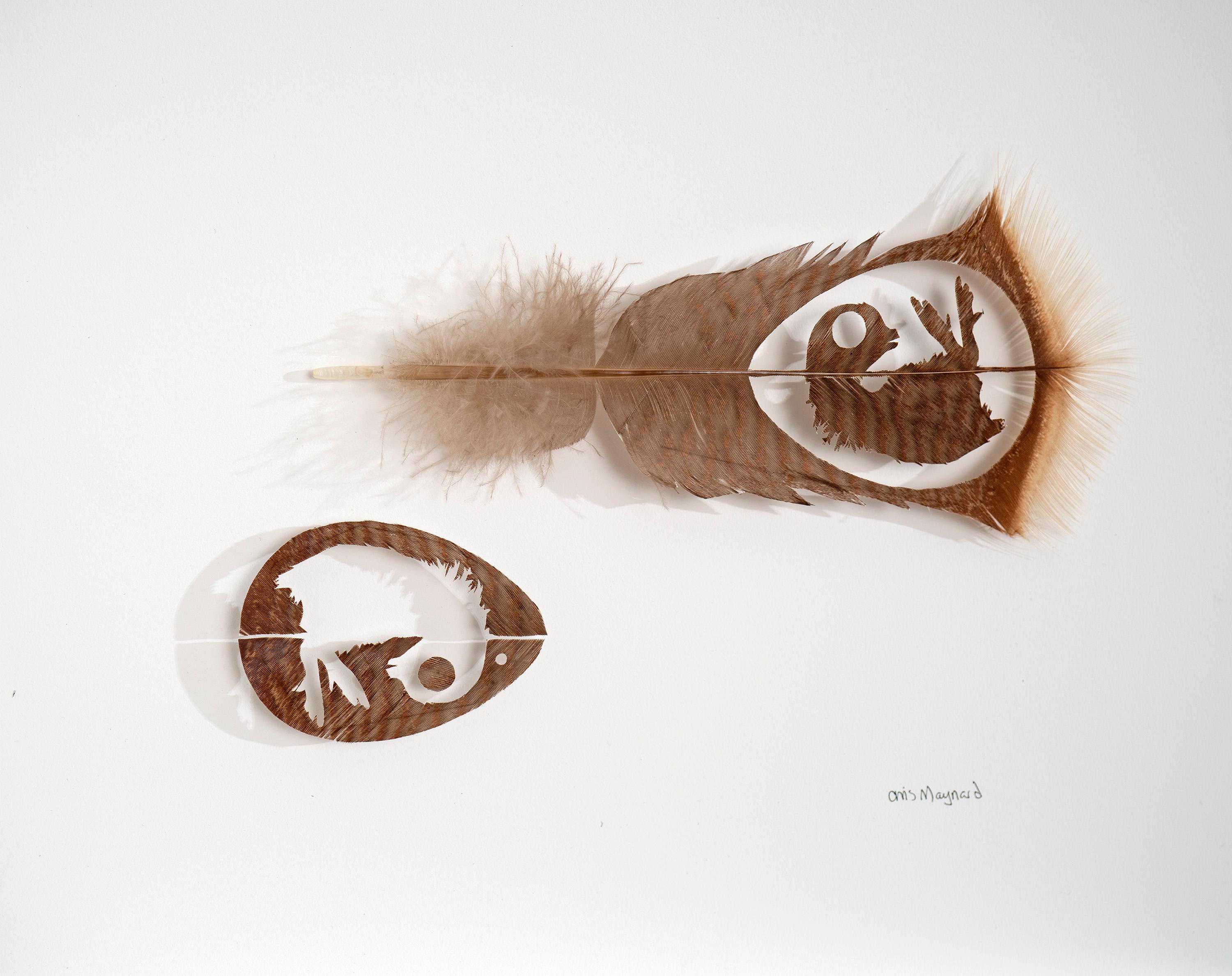 Kate Breakey Landscape Print - "Embryo 5" (2021), By Chris Maynard, Original Feather Carving