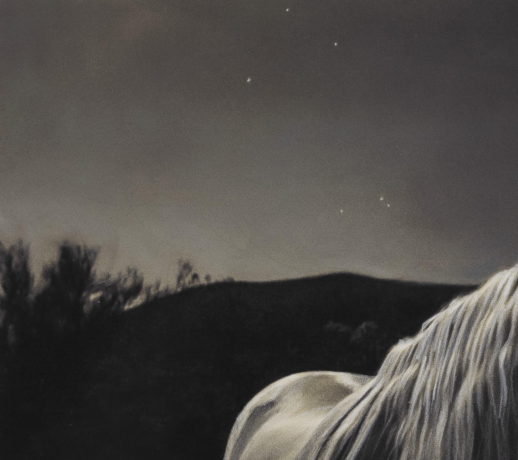 « Horse in the Moonlight #3/20 » (2021) par Kate Breakey, impression pigmentaire d'art en vente 1