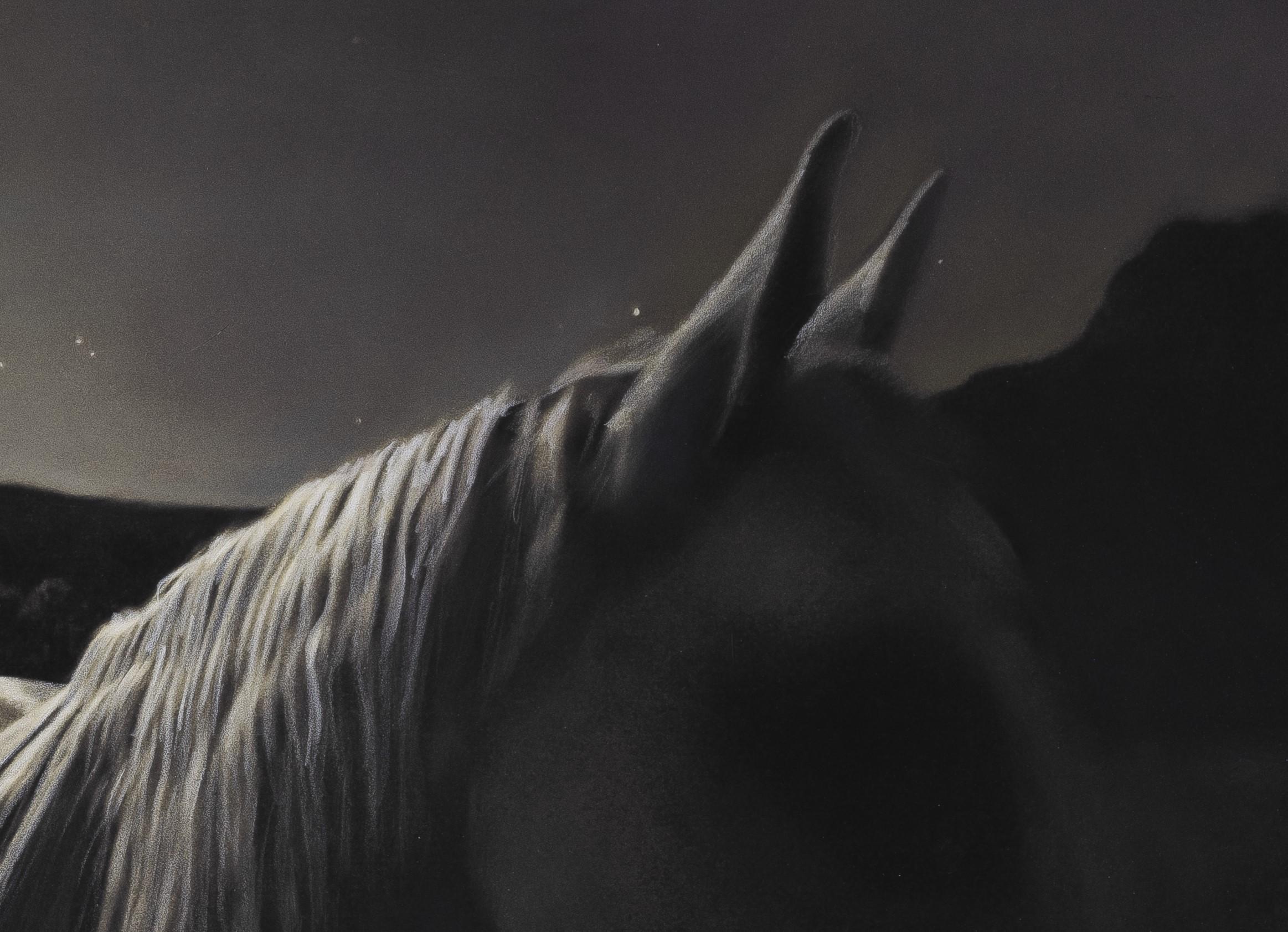 « Horse in the Moonlight #3/20 » (2021) par Kate Breakey, impression pigmentaire d'art en vente 2