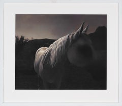 « Horse in the Moonlight #3/20 » (2021) par Kate Breakey, impression pigmentaire d'art