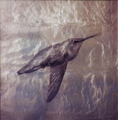 "Hummingbird" (2015) Photograph Printed on Museum Glass, Gilded with 24Kt Gold