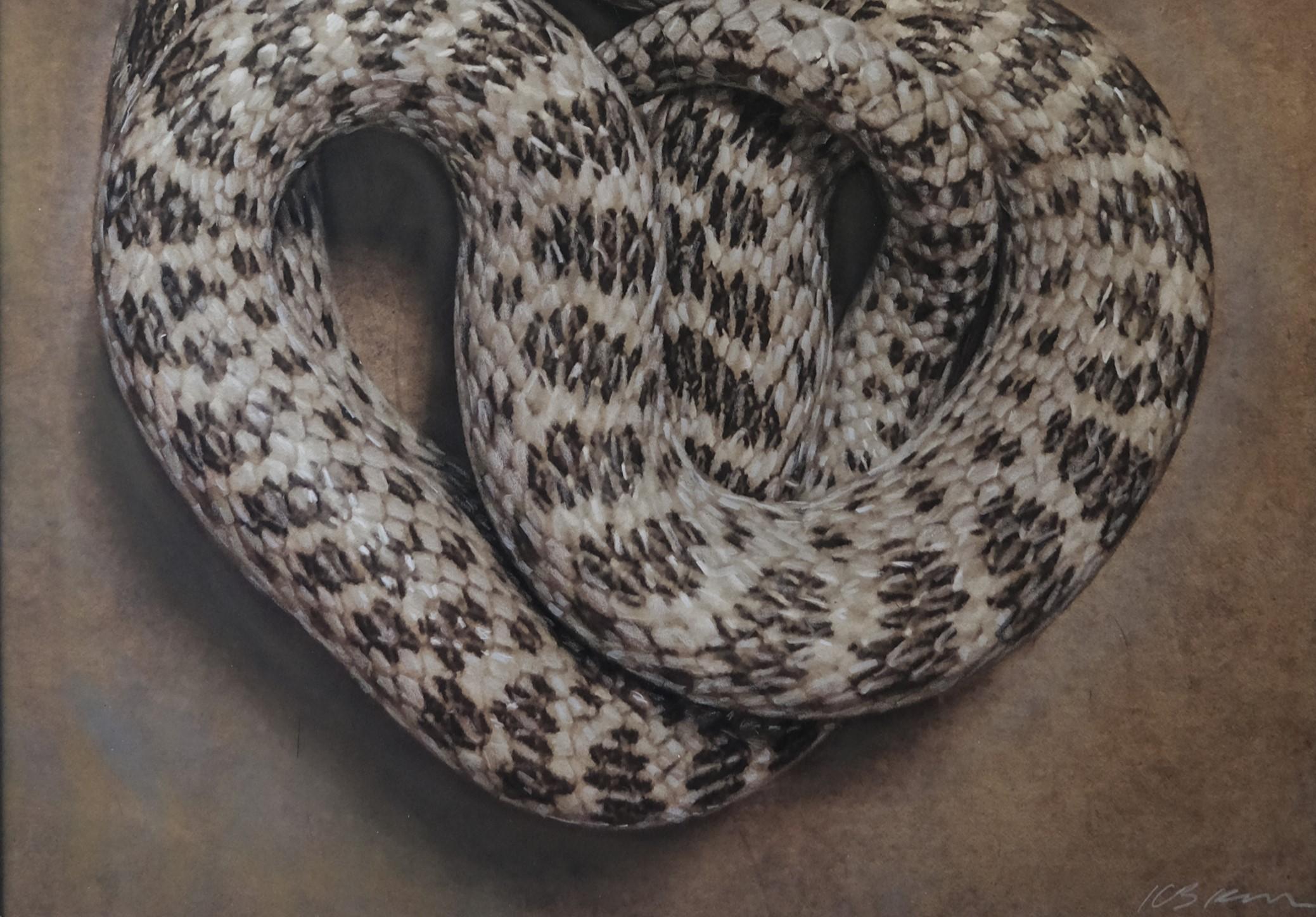 „Night Snake #3/20“ von Kate Breakey, Archivalischer Pigmentdruck im Angebot 2