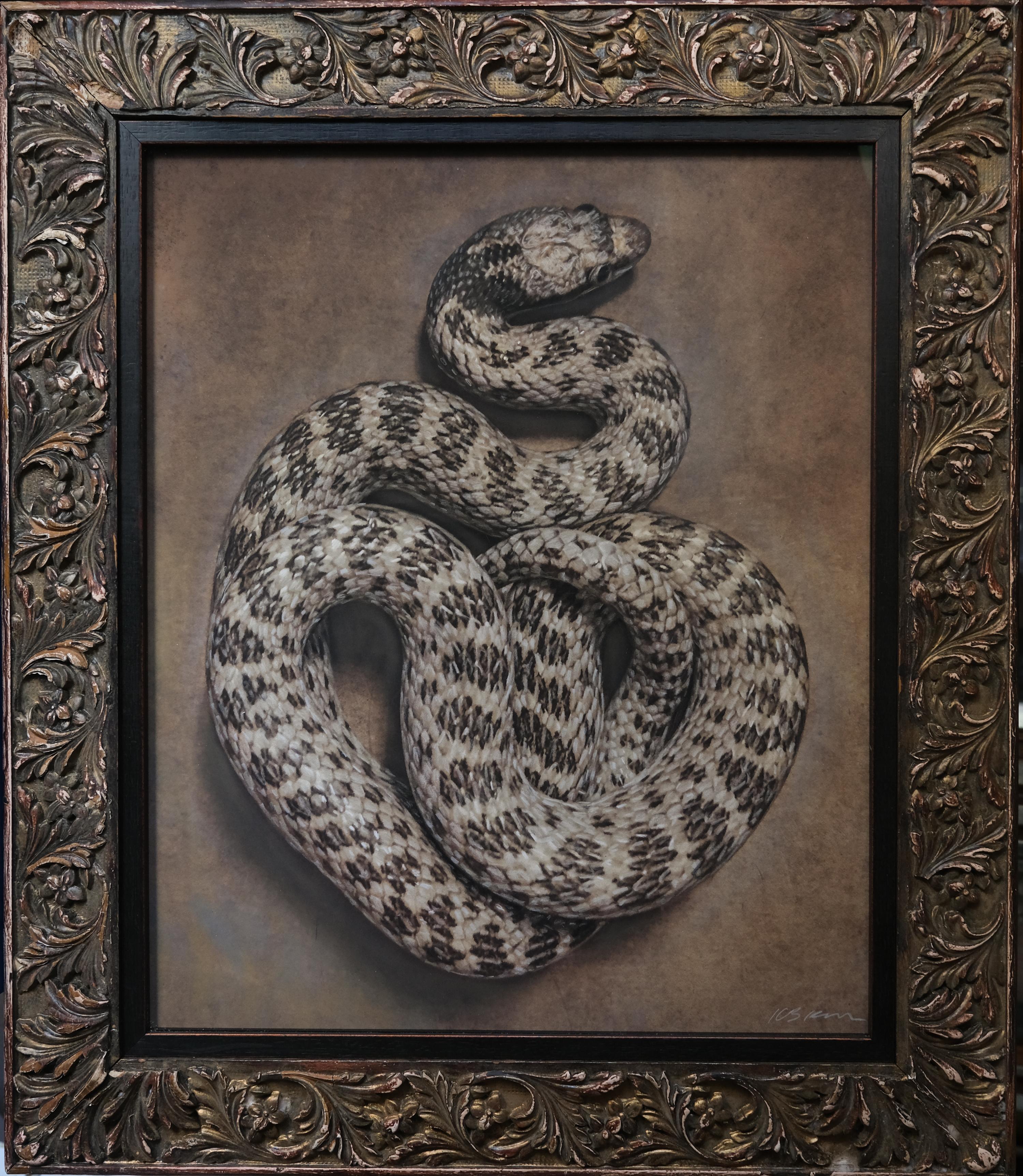 "Night Snake #3/20" By Kate Breakey, Archival Pigment Print