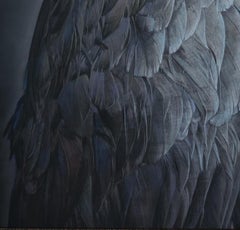 "Ritratto di un corvo #10/20" (2024) di Kate Breakey, Stampa in edizione limitata