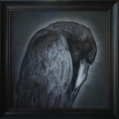 « Portrait of a Raven #10/20 » (2024) par Kate Breakey, édition limitée