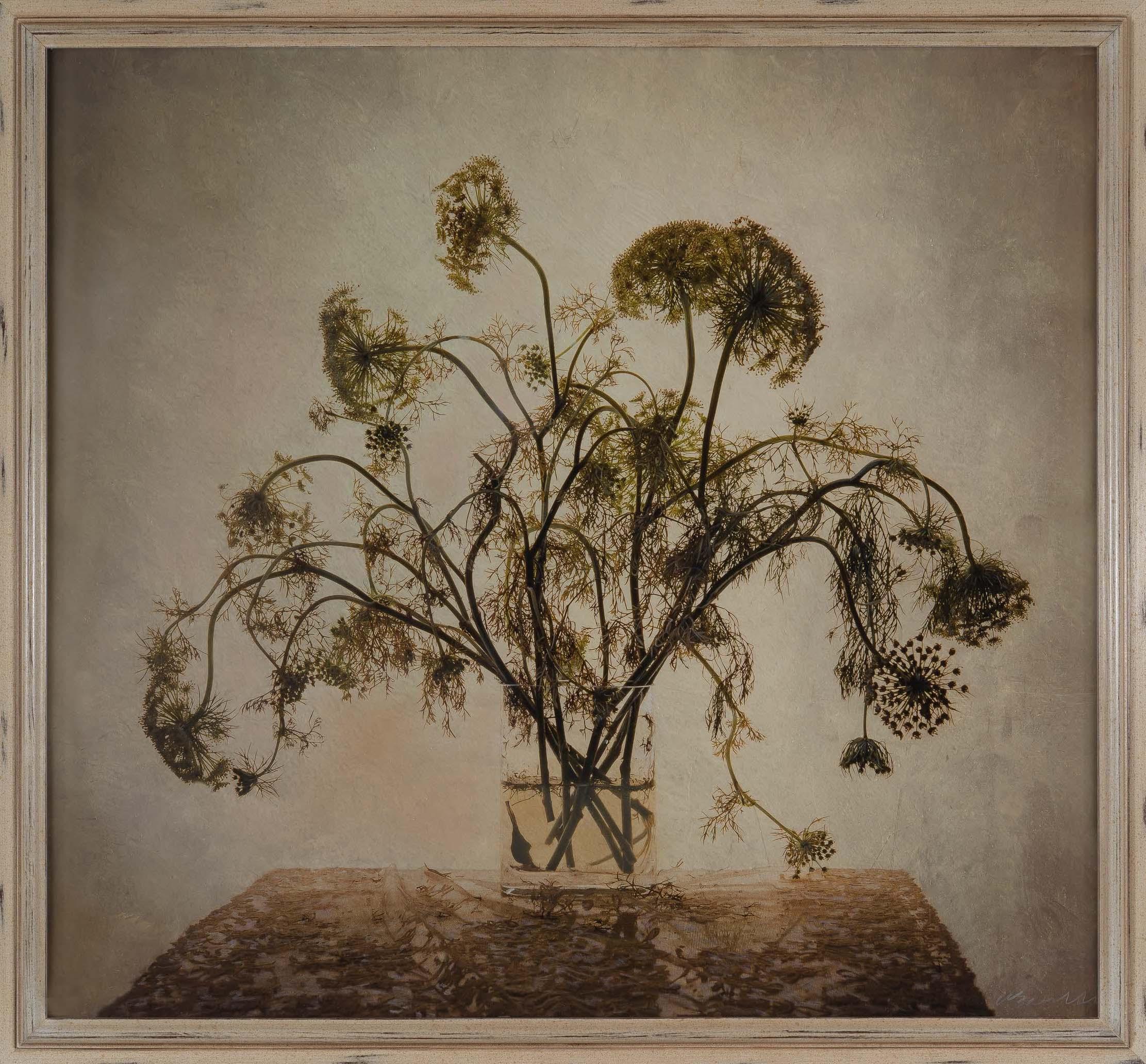 „Queen Ann's Lace“ (2000) von Kate Breakey, Archivalischer Pigmentdruck