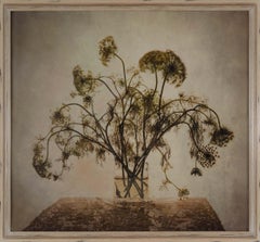 „Queen Ann's Lace“ (2000) von Kate Breakey, Archivalischer Pigmentdruck