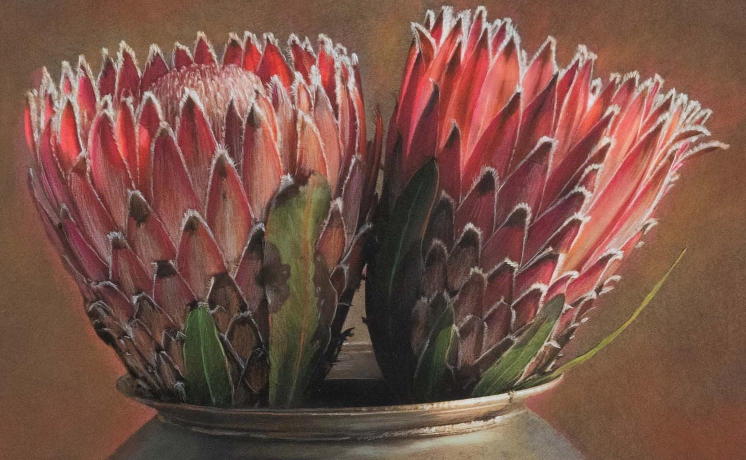 « Two Protea » (2024) par Kate Breakey, impression pigmentaire d'art en vente 2