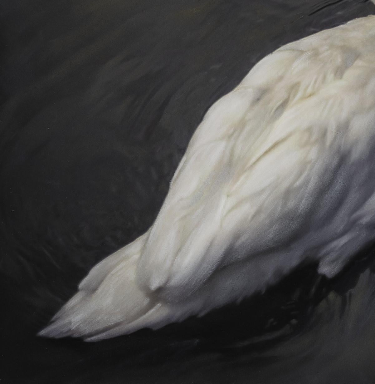 « White Swan » (2022) par Kate Breakey, impression pigmentaire d'art en vente 1