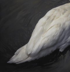 "Cisne blanco" (2022) Por Kate Breakey, Impresión de pigmentos de archivo