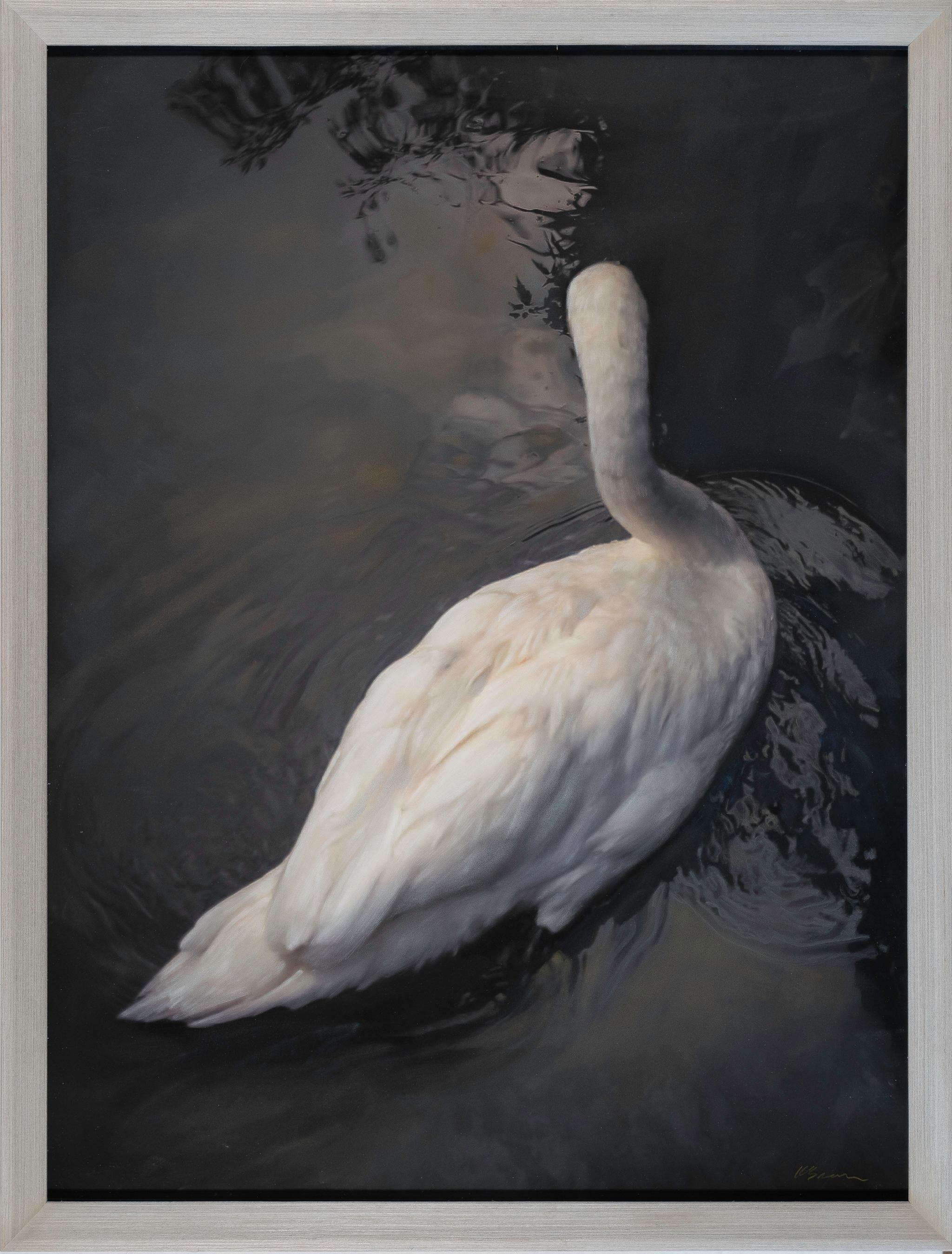 "White Swan" (2022) By Kate Breakey, Archival Pigment Print