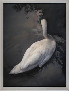 "White Swan" (2022) By Kate Breakey, Archival Pigment Print