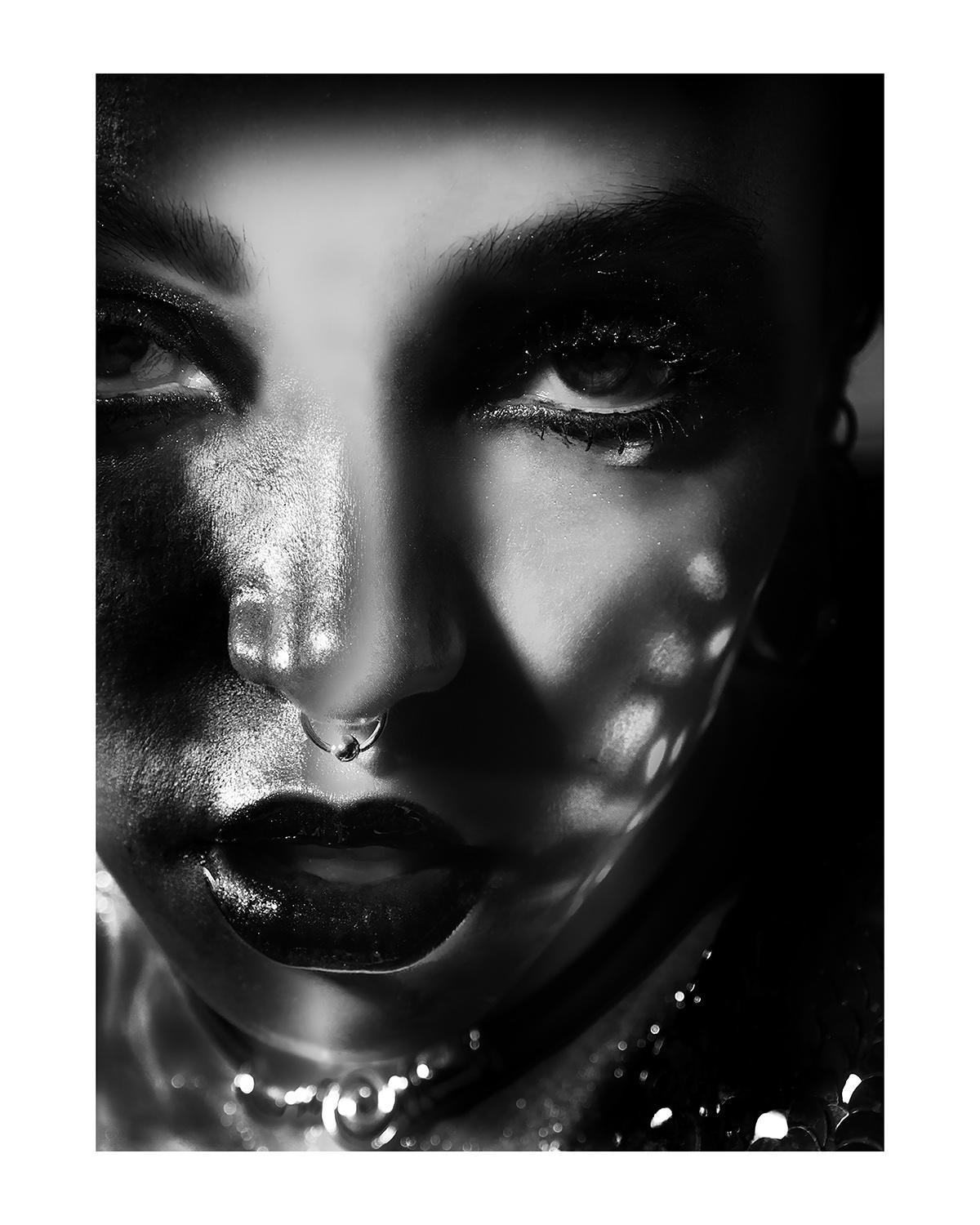 "twigs Glossed" Photography 30 x 24 in Edition of 50 by Kate Garner