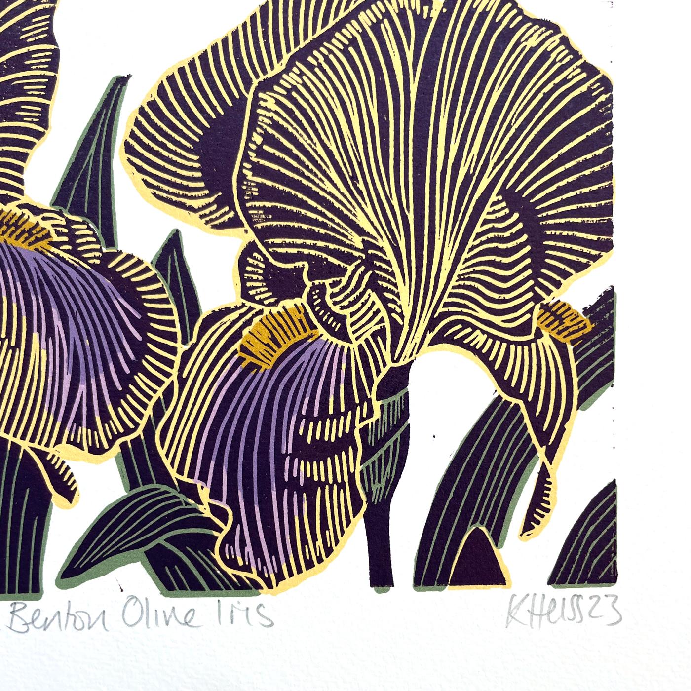 Benton Olive Iris, Limitierte Auflage, Natur, Floral  – Print von Kate Heiss