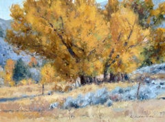 Mesa Cottonwoods